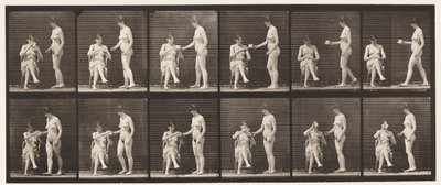 Tallrik 450. Två modeller, 8 tar med kopp te, 1 koppar och drycker, 1872-1885 av Eadweard Muybridge