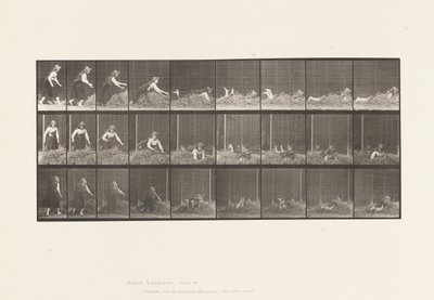 Tavla 455. Kastar själv på höhög av Eadweard Muybridge