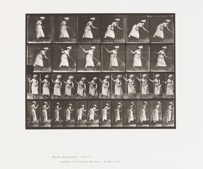 Plåt 456. Rankingen är 165 av Eadweard Muybridge