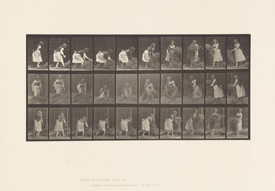 Tallrik 458. Lyfta nävar hö, vända, kasta ner det av Eadweard Muybridge