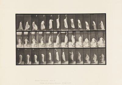 Skylt 459. Att kliva på stolen, sträcka sig upp och ned, 1885 av Eadweard Muybridge