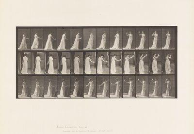 Tallrik 462. Hälla dräkt på marken, dricka ur bägare, 1885 av Eadweard Muybridge