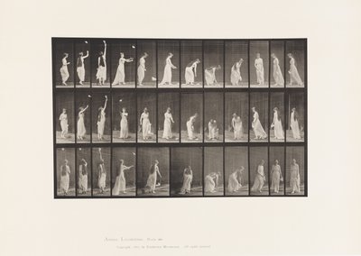 Plåt 463. Att sträcka sig upp, luta sig och vända sig om, 1885 av Eadweard Muybridge