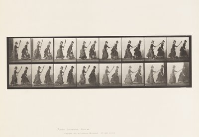 Skylt 464. Två modeller, 16 Jagar 4 med en kvast, 1885 av Eadweard Muybridge