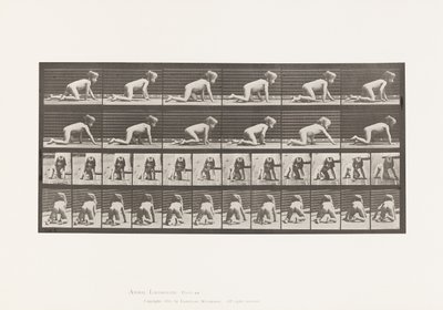 Plåt 471. Barn, Krypande på händer och knän, 1885 av Eadweard Muybridge