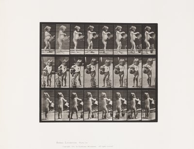 Tallrik 478. Barn, Stänk vatten över några blommor, 1885 av Eadweard Muybridge