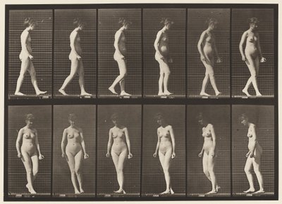 Plåt 47. Gå och vända sig om av Eadweard Muybridge