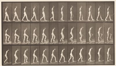 Tavla 482. A, Walking; B, Uppåtgående trappor; C, stigande lutning, 1872-1885 av Eadweard Muybridge