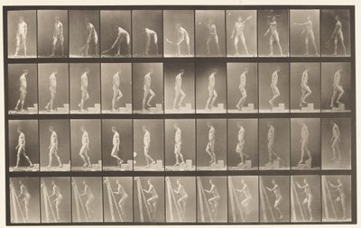 Tallrik 486. A, Grästennis; B, Stigande ett steg;, 1872-1885 av Eadweard Muybridge