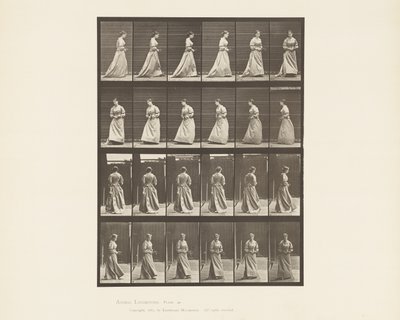 Tavla 48. Gå och vända sig om bukett i båda händerna, 1885 av Eadweard Muybridge
