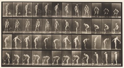 Tavla 490. A, Sittande; B, sitta ner; C, Stänk vatten av Eadweard Muybridge
