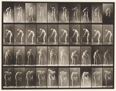 Tavla 491. A, Hamring vid städet; B, hamra på städet av Eadweard Muybridge