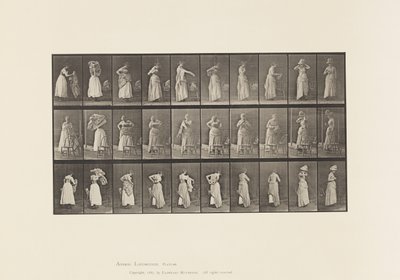 Skylt 495. Diverse faser av toaletten av Eadweard Muybridge