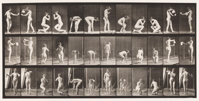 Tallrik 501. Diverse, Böjande, Knästående, mm. av Eadweard Muybridge