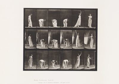Plåt 503. Övrigt - Böjning m.m av Eadweard Muybridge