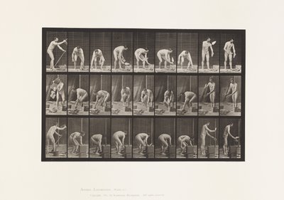 Plåt 505. Murning av Eadweard Muybridge