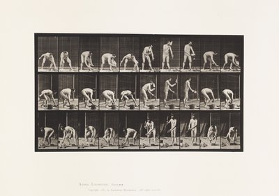 Tavla 506. Murning av Eadweard Muybridge