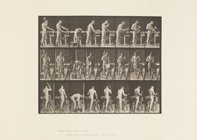 Plåt 507. Snickeri av Eadweard Muybridge