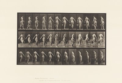 Tallrik 50. Går, bär en hink av Eadweard Muybridge