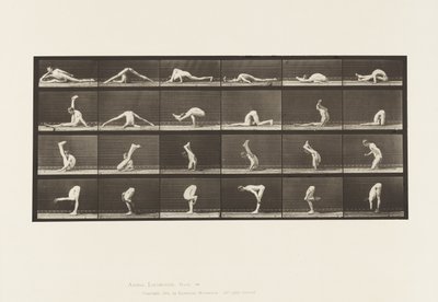 Plåt 510. Vridningar på marken, 1872-1885 av Eadweard Muybridge