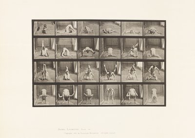 Plåt 511. Vridningar på marken av Eadweard Muybridge