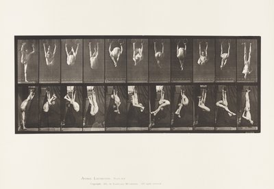 Plåt 512. Vridningar på ringar av Eadweard Muybridge
