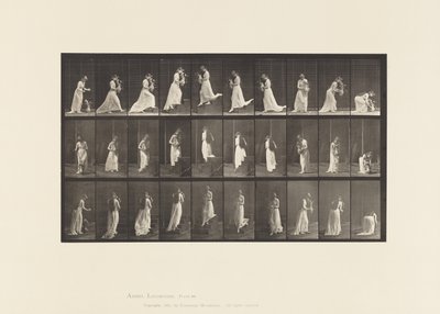 Tavla 515. Uppåtgående och nedåtgående trappor, etc., 1885 av Eadweard Muybridge