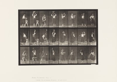 Tallrik 517. Diverse rörelser med vattenburk av Eadweard Muybridge