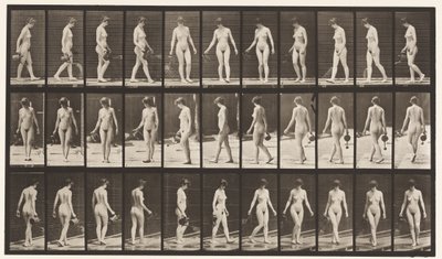 Plåt 51. Gå och vända sig om med sprinklingskruka, 1872-1885 av Eadweard Muybridge