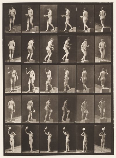 Plåt 525. A, nedstigande steg; B, Stigande Steg;, 1872-1885 av Eadweard Muybridge