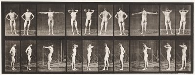 Tallrik 529. Olika Poser av Eadweard Muybridge
