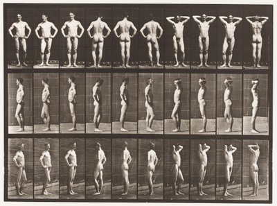 Tallrik 530. Olika Poser av Eadweard Muybridge