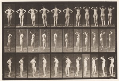Tallrik 531. Olika Poser av Eadweard Muybridge