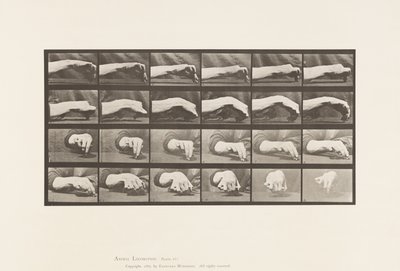 Tallrik 532. Handens rörelse; Rita en cirkel, 1885 av Eadweard Muybridge