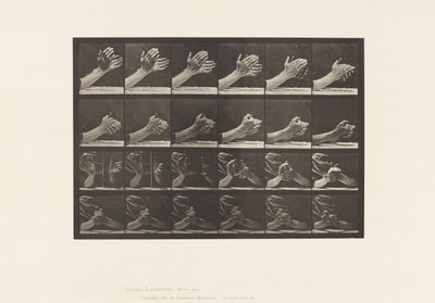 Tallrik 533. Handens rörelse; knäpper händerna, 1885 av Eadweard Muybridge