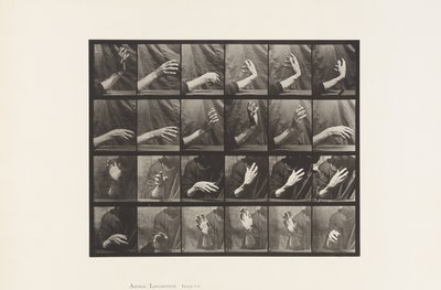 Tavla 535. Handens rörelse; Beating Time, 1885 av Eadweard Muybridge