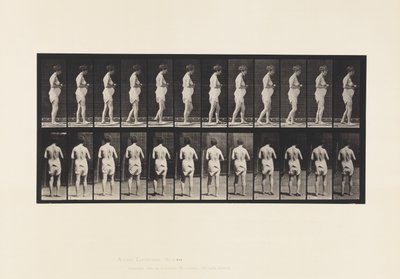 Tallrik 542. Multipel cerebro-spinal skleros - promenader av Eadweard Muybridge