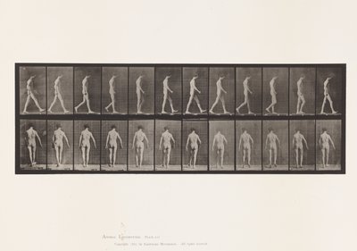 Platta 546.Locomotor Ataxi; Vandring, 1885 av Eadweard Muybridge