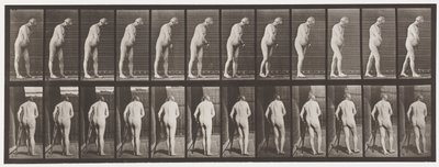 Tallrik 547.Hemiplegi; Walking with Crutch, 1885 av Eadweard Muybridge