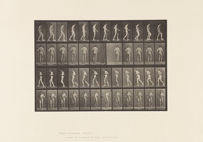 Platta 548. Lateral skleros; A,B, Walking, 1885 av Eadweard Muybridge