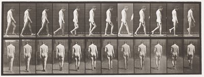 Plåt 549.Epilepsi; Vandring, 1885 av Eadweard Muybridge