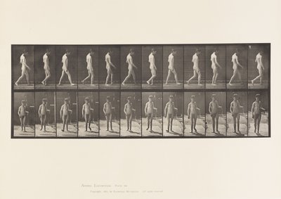 Plåt 551.Epilepsi; Vandring, 1885 av Eadweard Muybridge