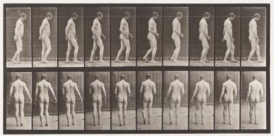 Plåt 553. Efter traumatism av huvudet; Vandring, 1885 av Eadweard Muybridge