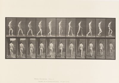 Plåt 554.Locomotor Ataxi; Vandring, 1885 av Eadweard Muybridge