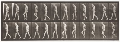 Tavla 555. Muskelatrofi av ben; Vuxen, A,B, Walking, 1885 av Eadweard Muybridge
