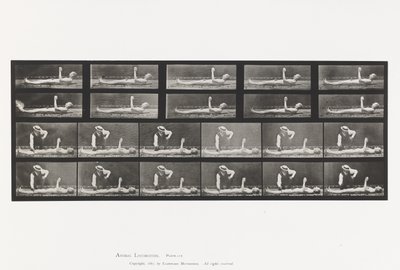 Tallrik 556.Local Chorea; A, B, medan du ligger av Eadweard Muybridge