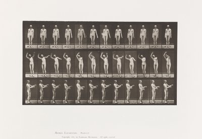 Tallrik 557.Local Chorea; A, B, C, Stående, 1885 av Eadweard Muybridge