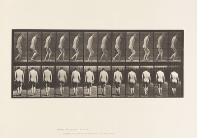 Tallrik 558. Paraplegi; Partiell; Vandring, 1885 av Eadweard Muybridge