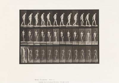 Platta 559. Disseminerad skleros; Går med Cane av Eadweard Muybridge