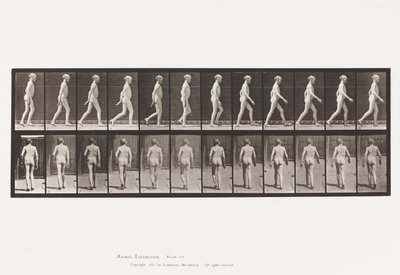 Plåt 562. Ryggradens laterala krökning; Gående av Eadweard Muybridge